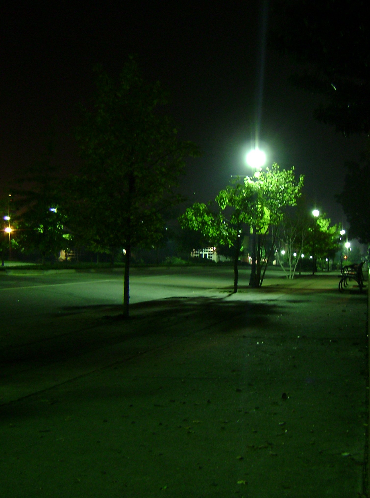 webassets/Atnight.jpg