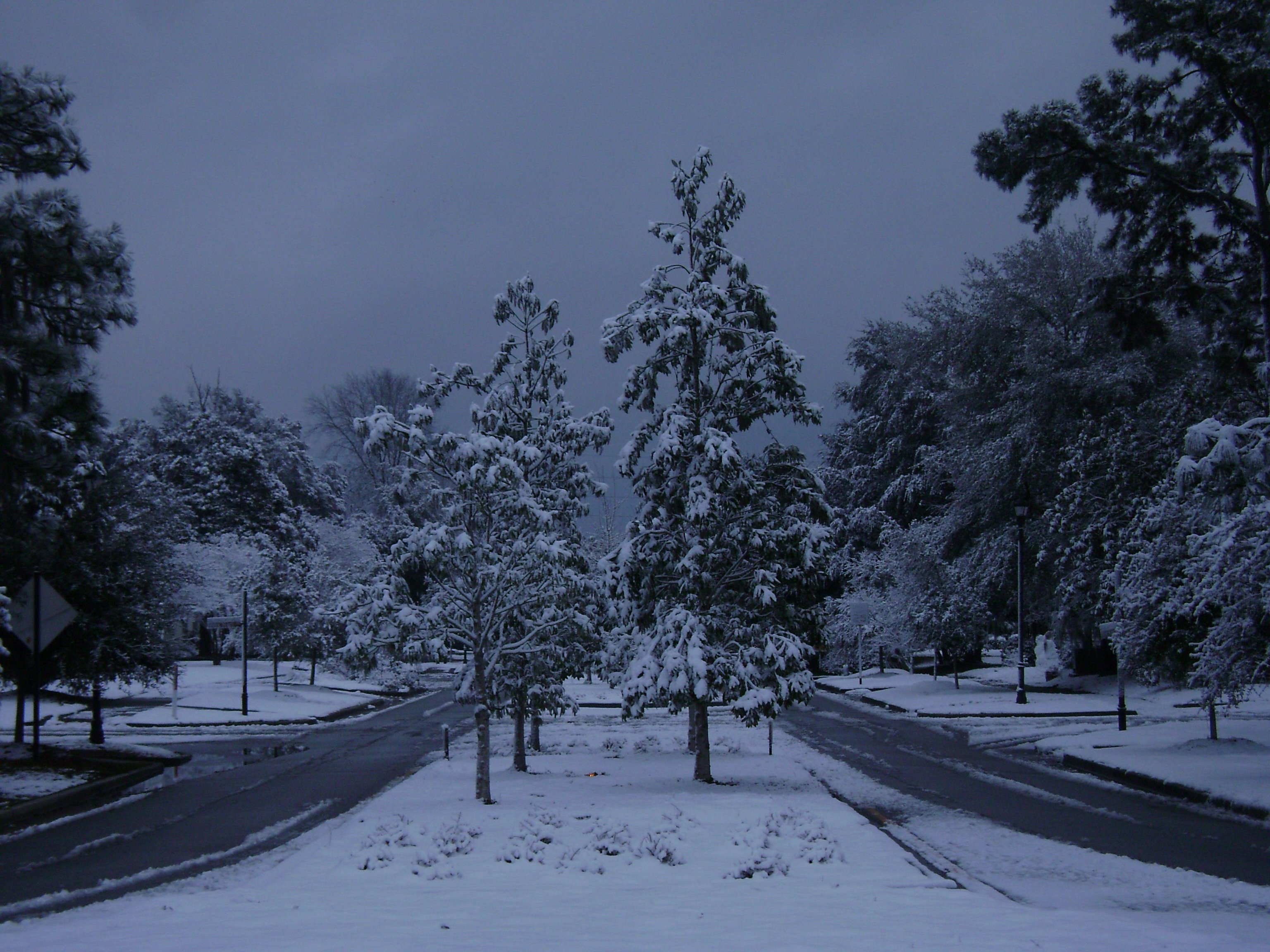 webassets/SNOW043.jpg